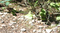 img_2799_thumb.jpg