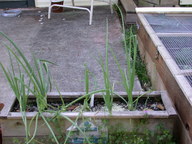 dscn2099_thumb.jpg