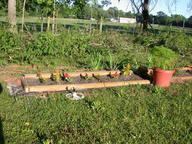 dscn2110_thumb.jpg