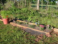 dscn2111_thumb.jpg