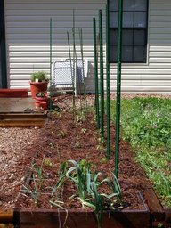 vegetable_beds_thumb.jpg