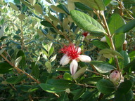 dsc00753_thumb.jpg