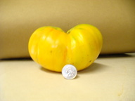 dsc02062_thumb.jpg