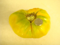 dsc02064_thumb.jpg