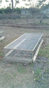 2012-01-29_18-19-45_829_thumb.jpg