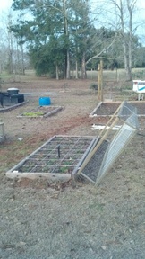 2012-01-29_18-20-22_179_thumb.jpg