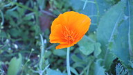 img_1452_thumb.jpg