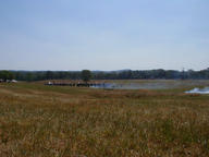 p7060002_thumb.jpg