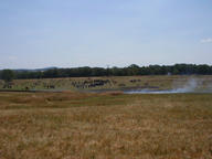 p7060009_thumb.jpg