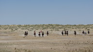 img_2278_thumb.jpg