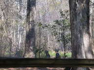 dscn2875_thumb.jpg