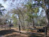 dscn2898_thumb.jpg