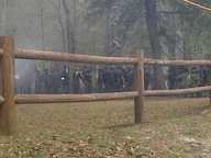 img00061-20110306-1442_thumb.jpg