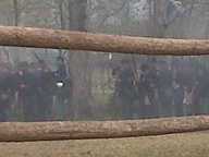 img00063-20110306-1443_thumb.jpg