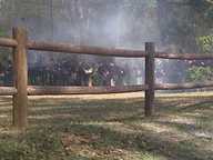 img00065-20110306-1456_thumb.jpg