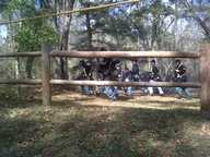 img00067-20110306-1459_thumb.jpg