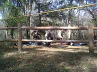 img00069-20110306-1459_thumb.jpg