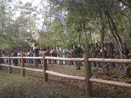 img00085-20110306-1508_thumb.jpg