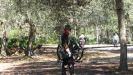 img_1221_thumb.jpg