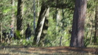 img_1089_thumb.jpg