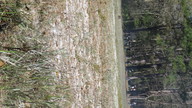 img_1106_thumb.jpg