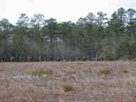 dscn1850_thumb.jpg