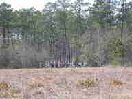 dscn1853_thumb.jpg