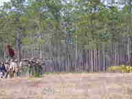 dscn1857_thumb.jpg