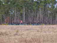 dscn1868_thumb.jpg