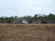 dsc01613_thumb.jpg