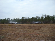 dsc01614_thumb.jpg