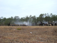 dsc01630_thumb.jpg