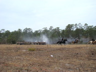 dsc01638_thumb.jpg