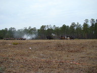 dsc01645_thumb.jpg