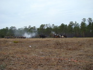 dsc01646_thumb.jpg