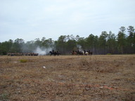 dsc01647_thumb.jpg