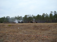 dsc01648_thumb.jpg