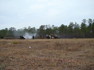dsc01650_thumb.jpg