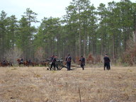 dsc01661_thumb.jpg