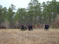 dsc01665_thumb.jpg