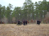 dsc01666_thumb.jpg
