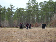 dsc01667_thumb.jpg