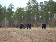 dsc01668_thumb.jpg