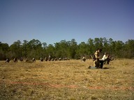img00008-20100214-1327_thumb.jpg