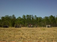 img00011-20100214-1338_thumb.jpg