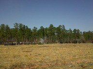 img00016-20100214-1340_thumb.jpg