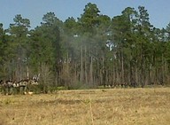img00018-20100214-1341_thumb.jpg