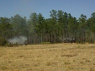 img00041-20100214-1407_thumb.jpg