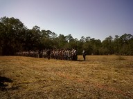 img00067-20100214-1439_thumb.jpg