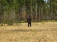 img00068-20100214-1440_thumb.jpg